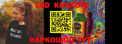 гашик Кингисепп