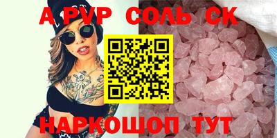 гашик Кингисепп