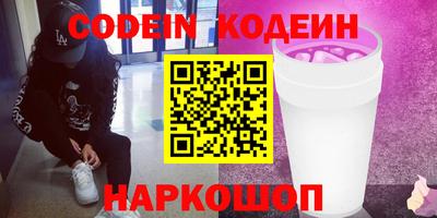 гашик Кингисепп