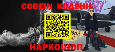 гашик Кингисепп