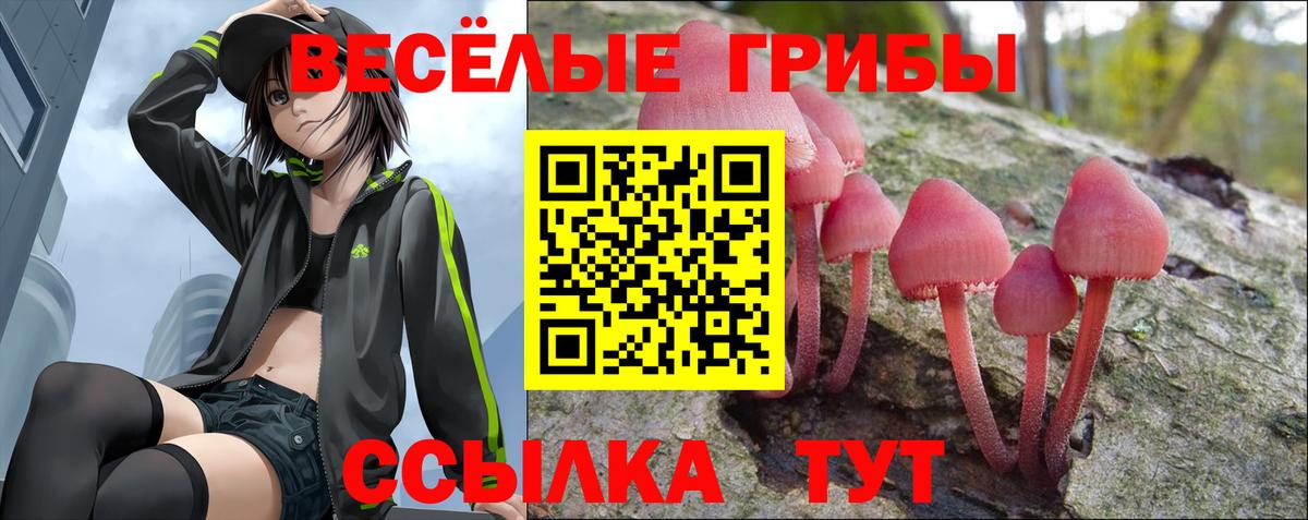 Красноуфимск  Галлюциногенные грибы GOLDEN TEACHER  Вход с VPN  Галлюциногенные грибы Cubensis 